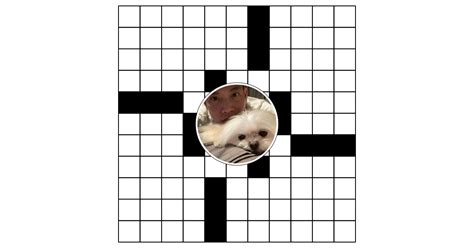 beautified crossword clue